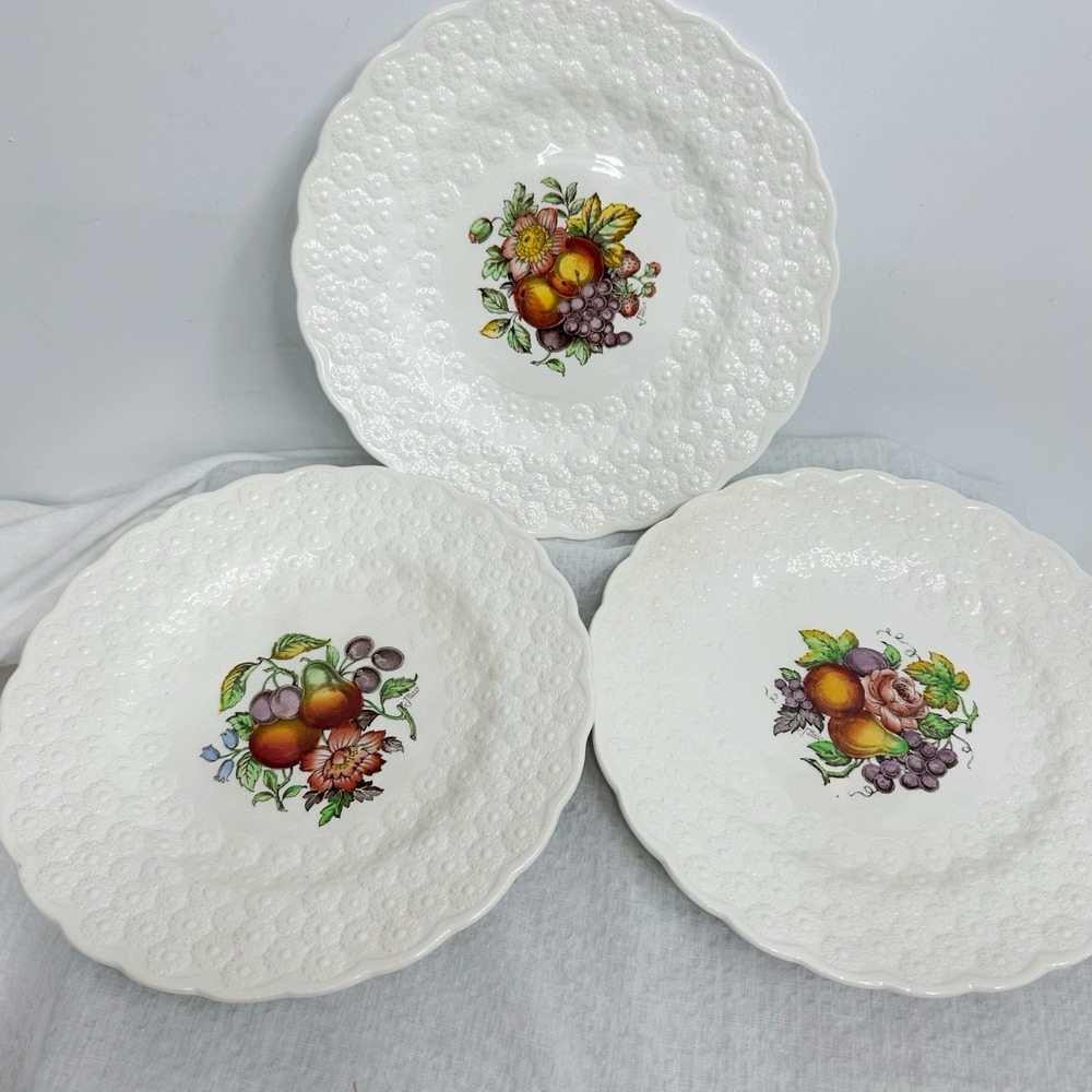 3 Copeland Spode Alden J Price Embossed Daisy‎ Border Fruit Flower 1/2/3 Plates